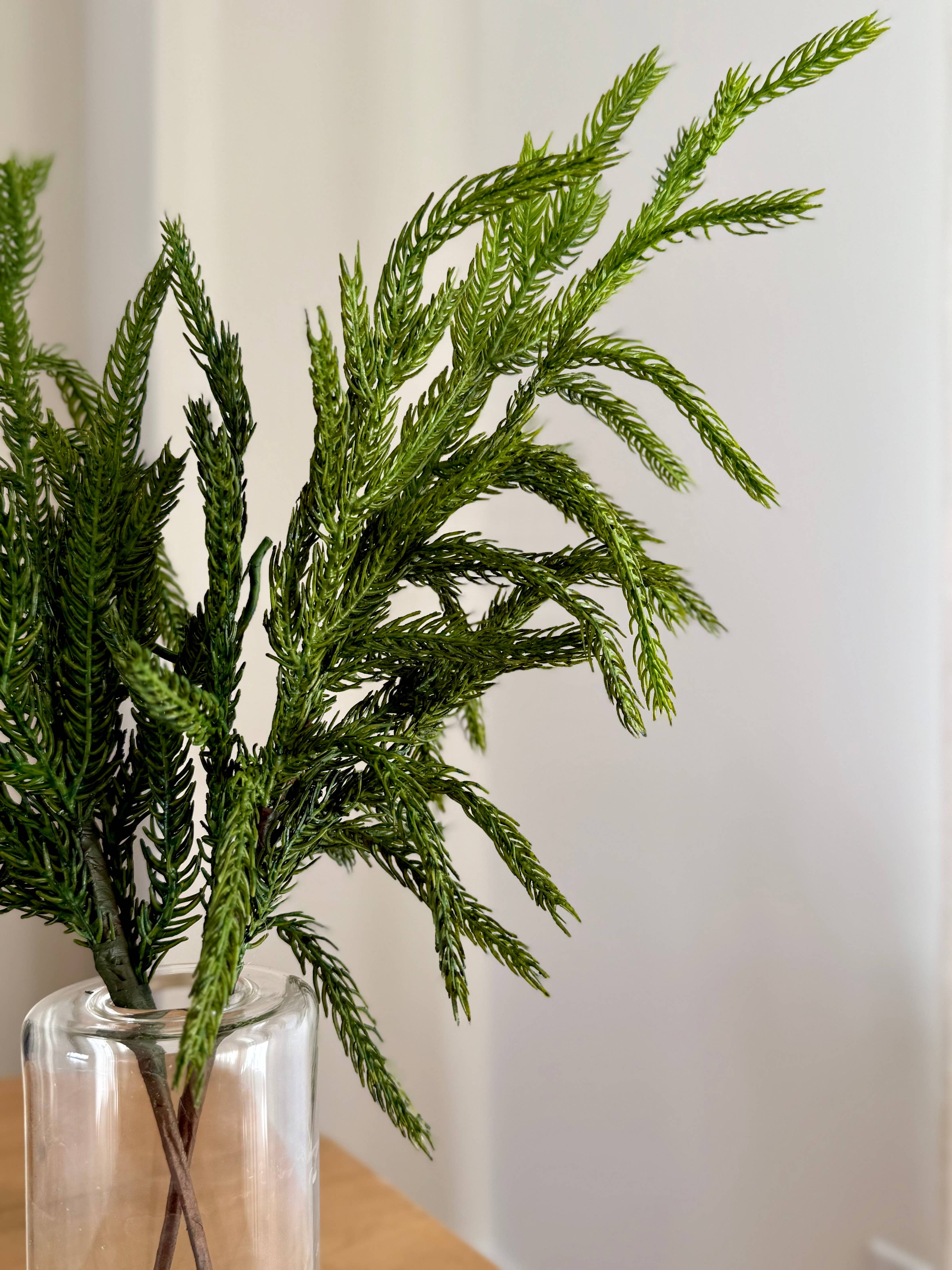 Norfolk Stems Bundle of 4