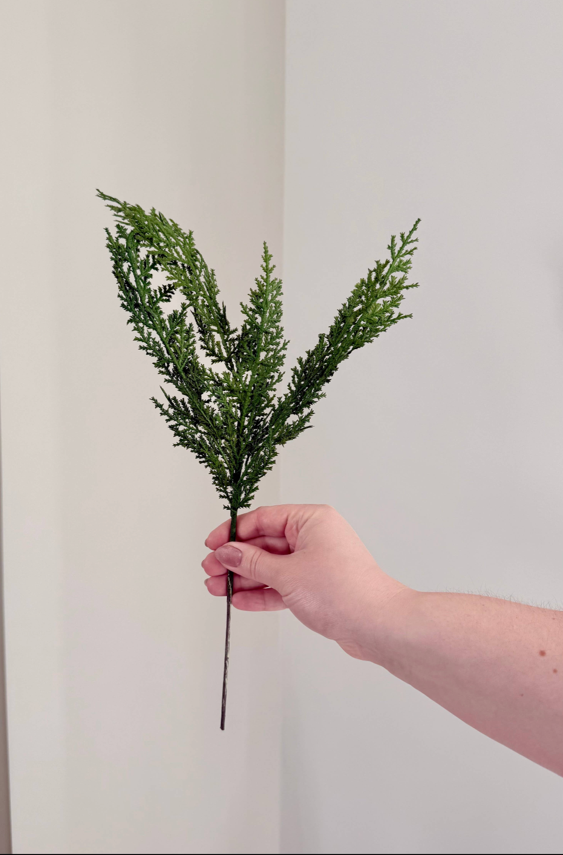 Cedar Stem Bundle of 4 Stems