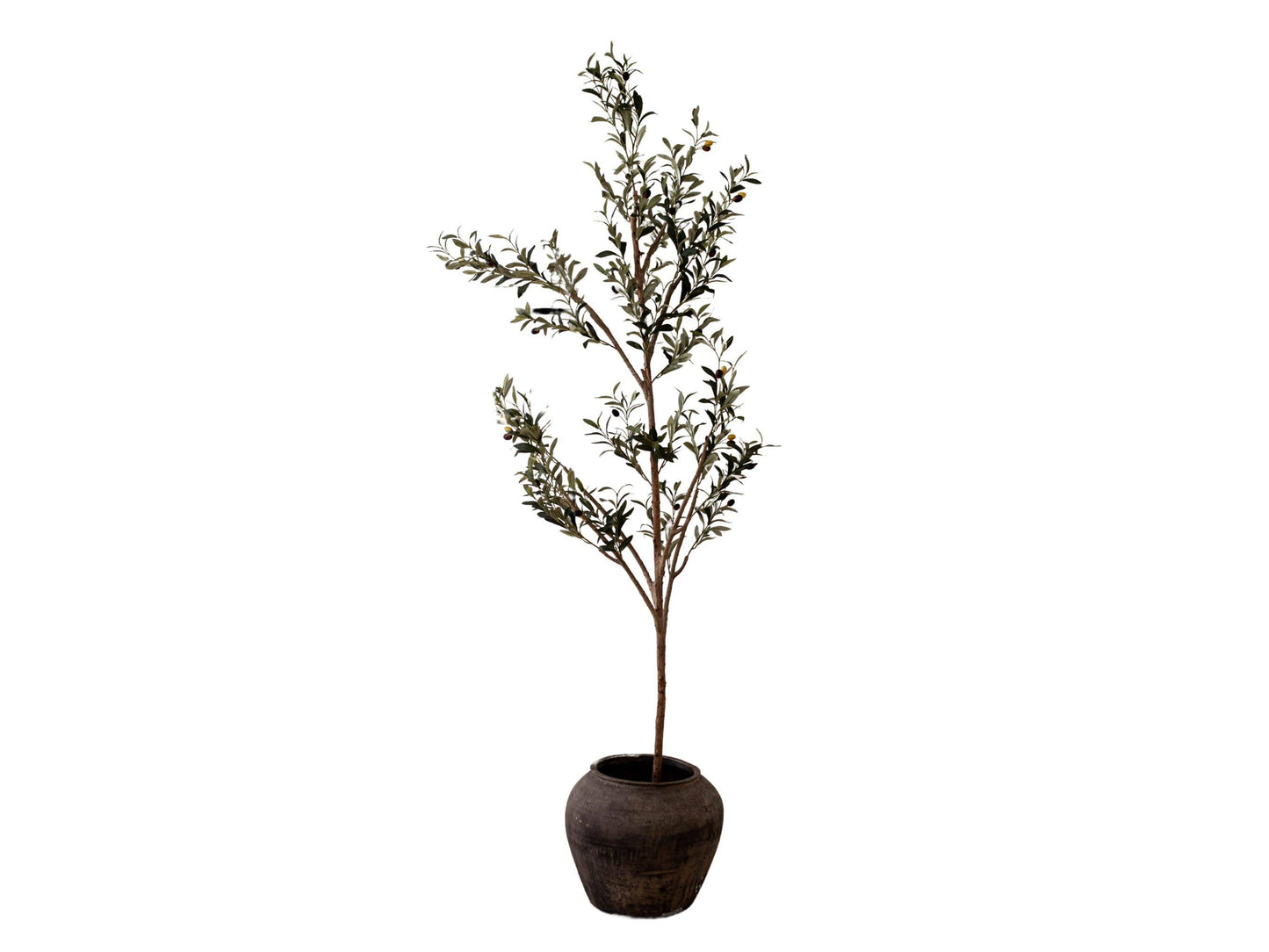 Atelier Black Vintage Olive Tree Pot Vase