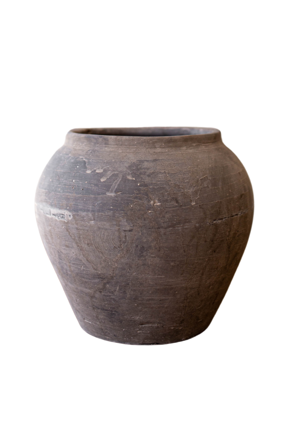 Atelier Black Vintage Olive Tree Pot Vase