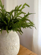 Norfolk Stems Bundle of 4