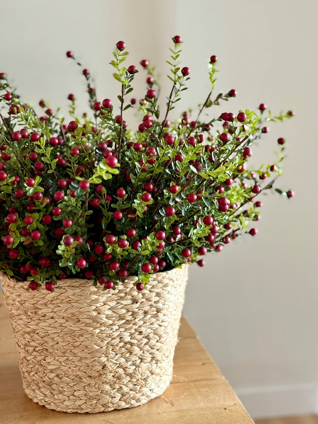 Cranberry Stems Bunch of 3 Stems