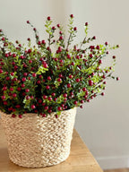 Cranberry Stems Bunch of 3 Stems