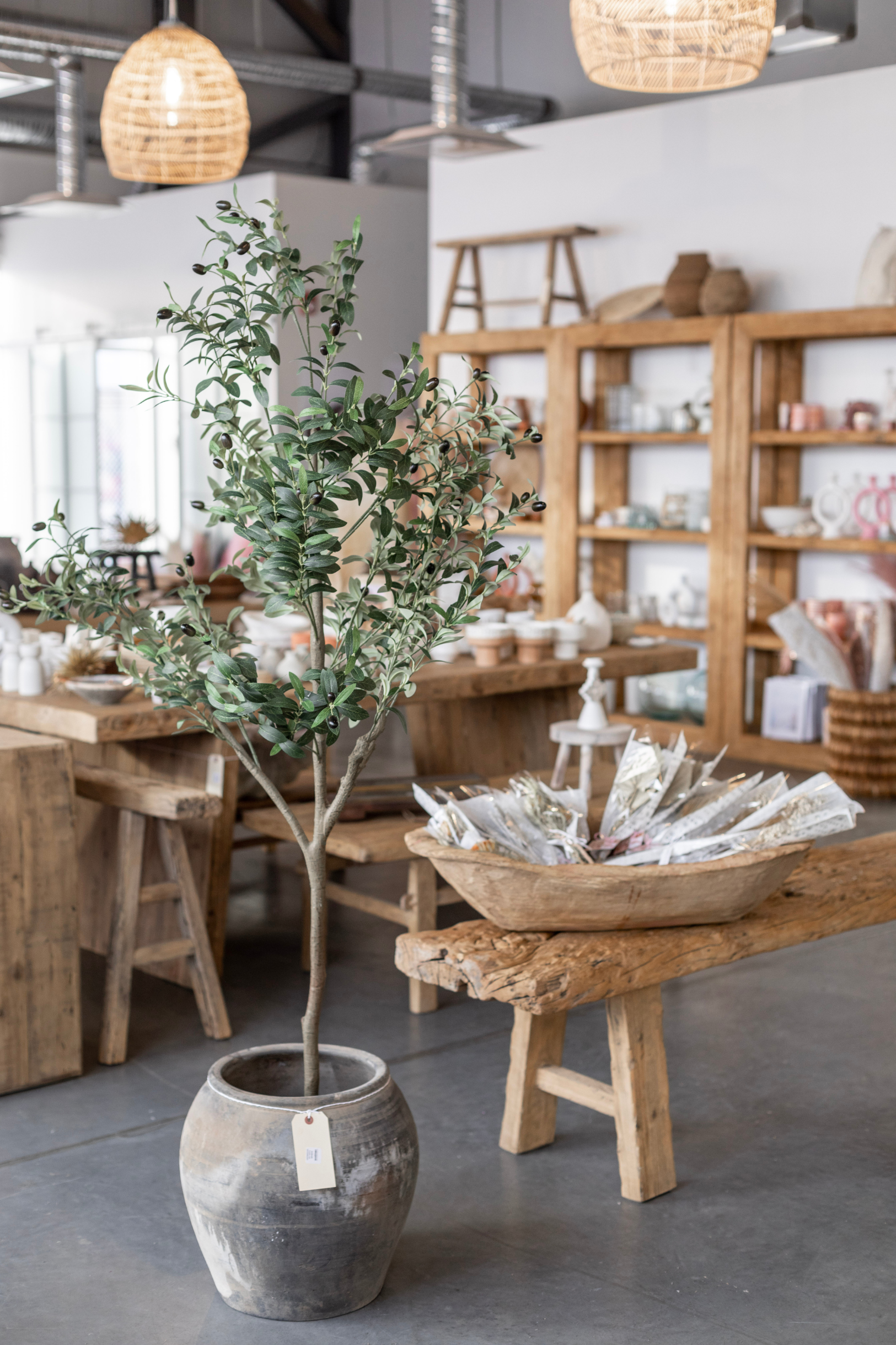 Atelier Black Vintage Olive Tree Pot Vase
