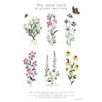 Plantable Flat Card Set - Winter