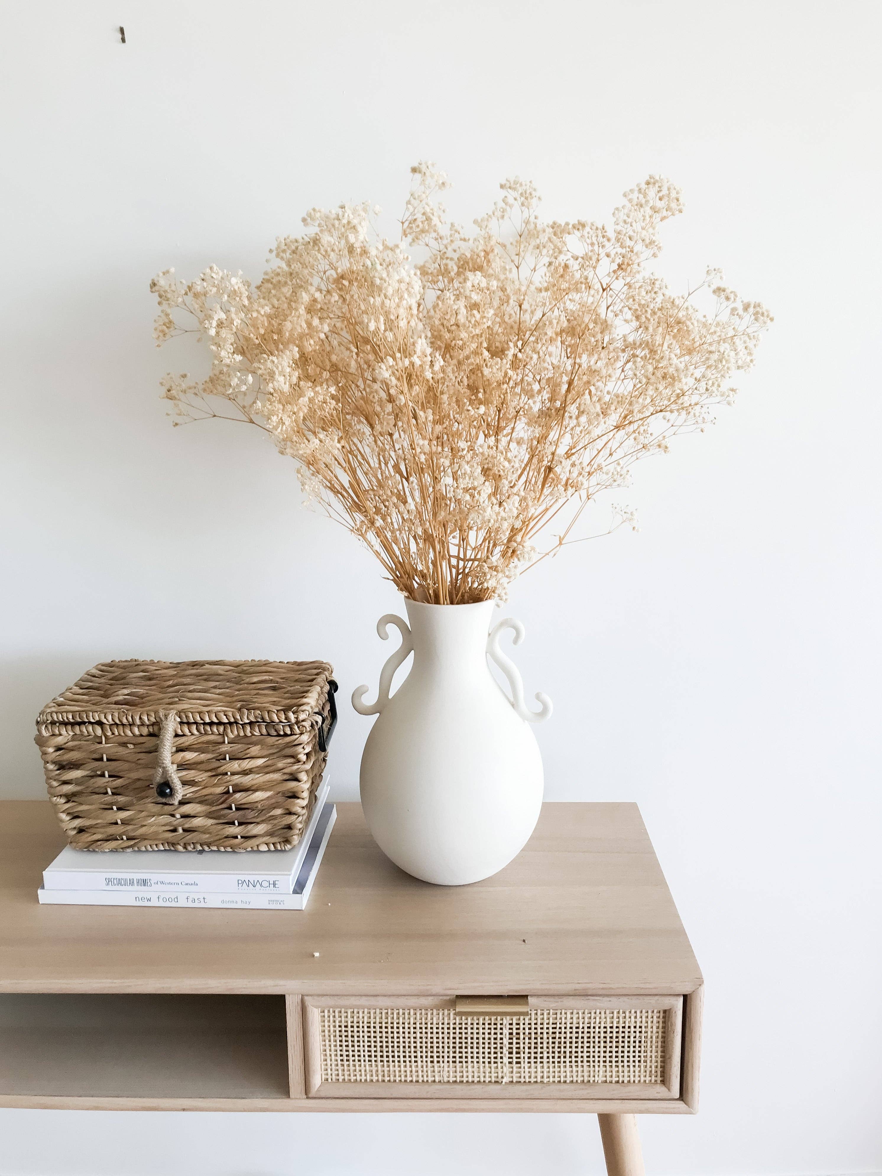 Preserved  Baby's Breath - Natural Gypsophila