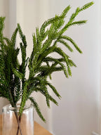 Norfolk Stems Bundle of 4