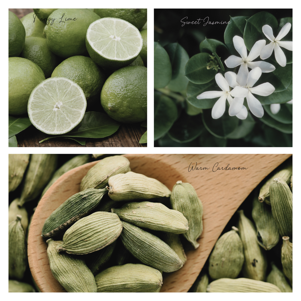 Be Cozy Simmer Pot Mix, Natural Jasmine Spice Aroma – Jar Edition