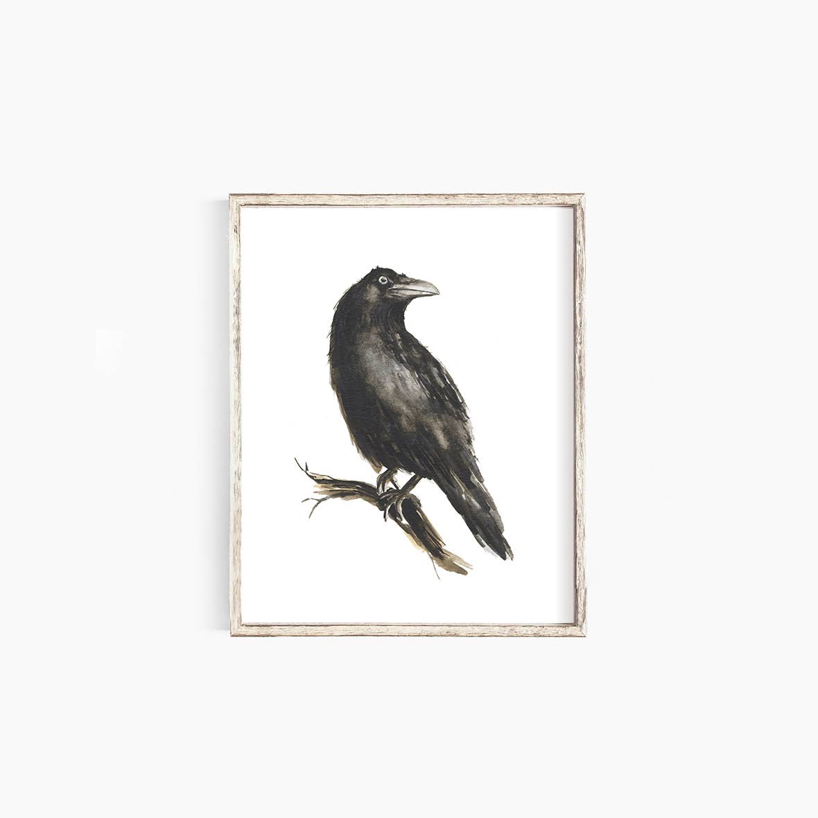 Raven