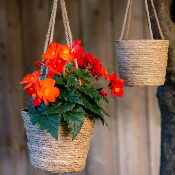 Rush Basket With Long Rope, Set 2 (In Store Purchase Only)