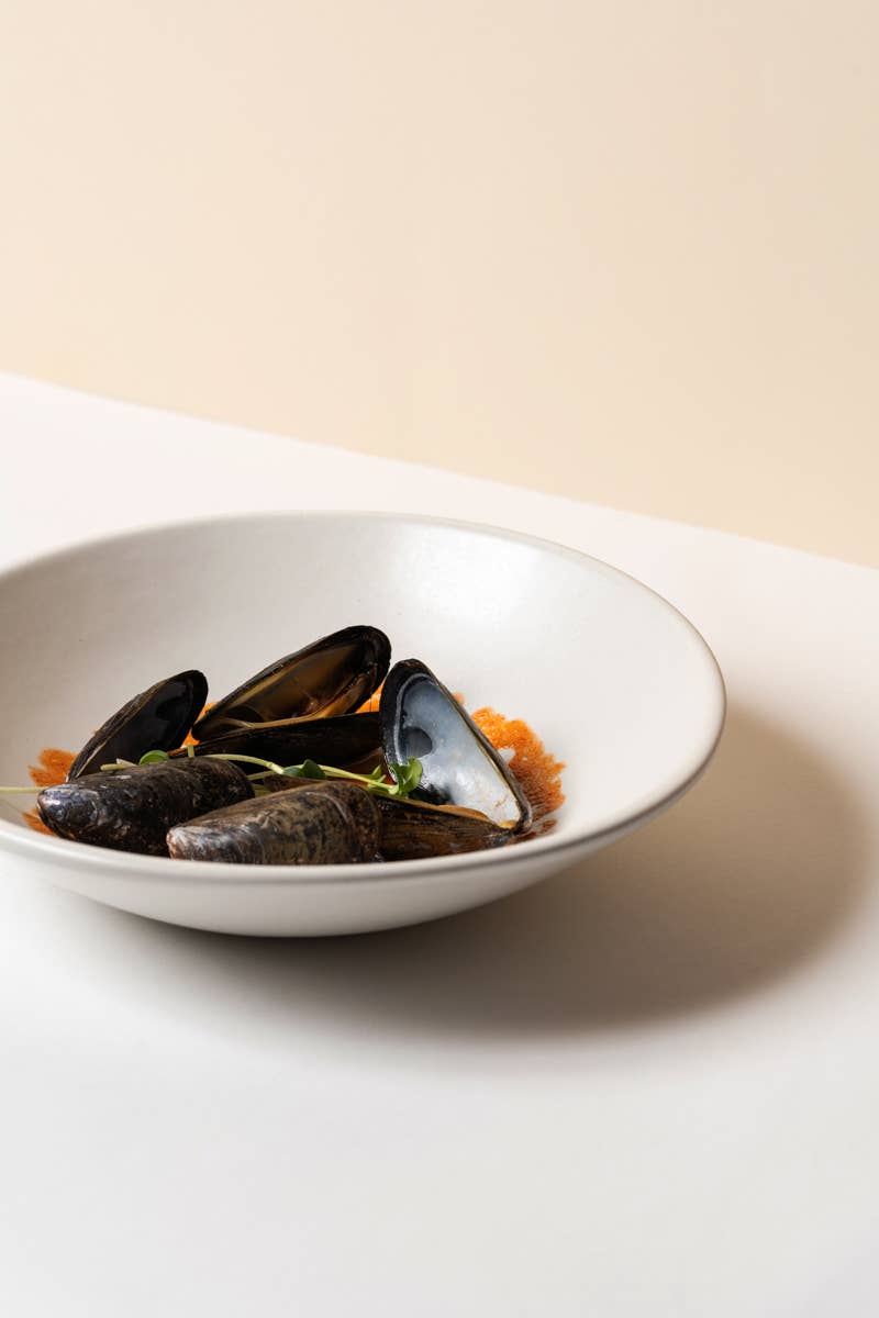 Stoneware Pasta Plate | Dadasi 9.4"