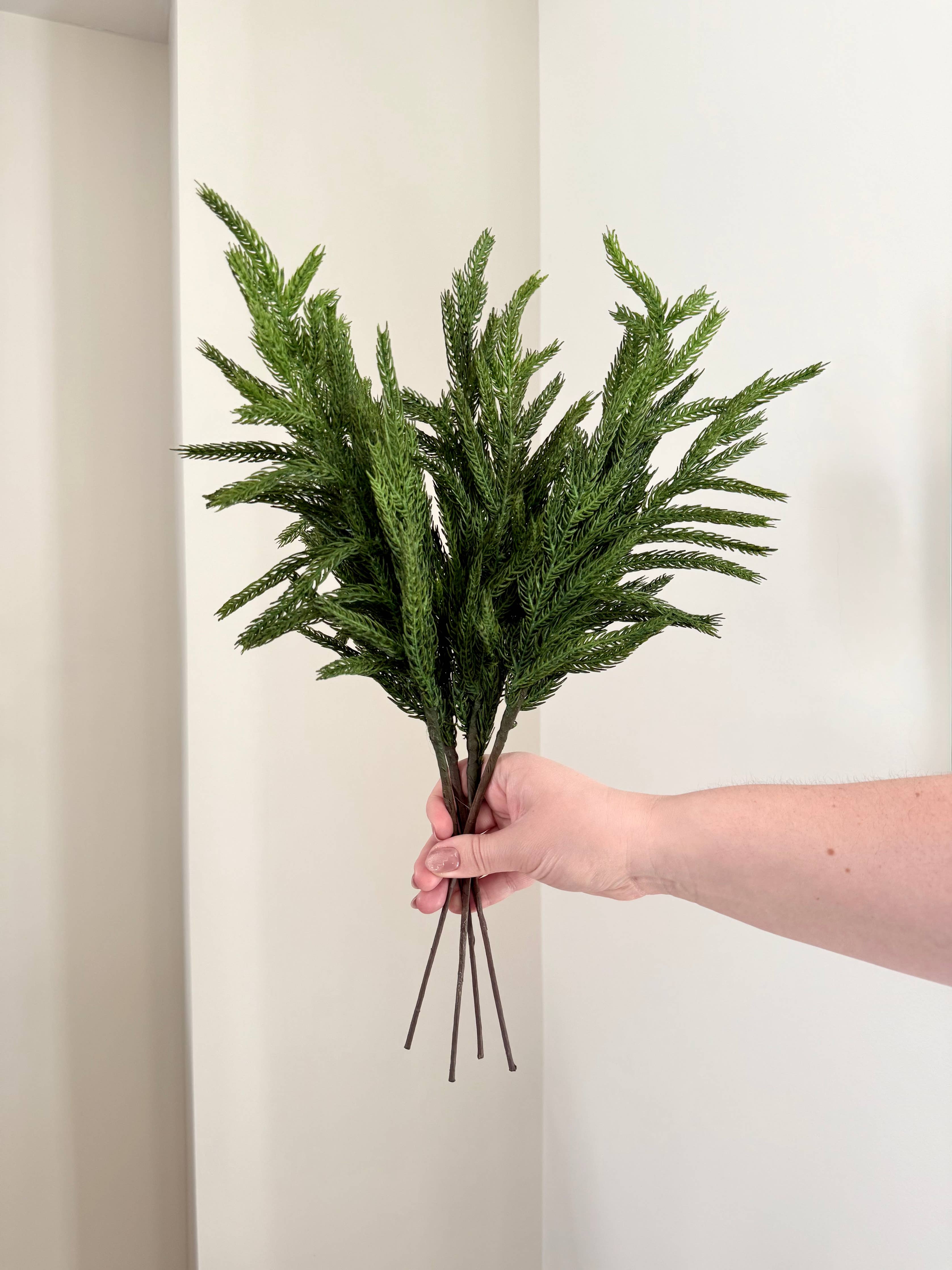 Norfolk Stems Bundle of 4