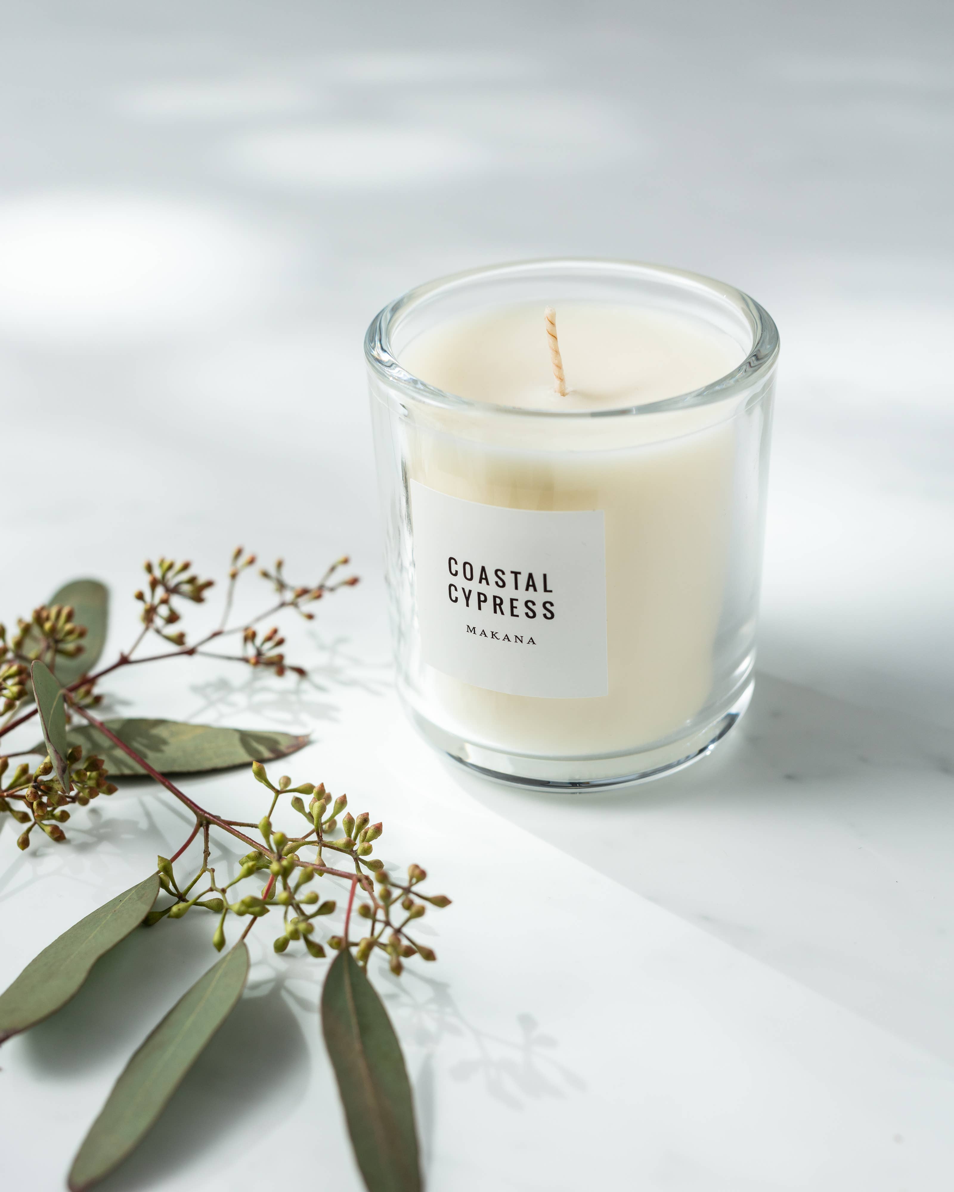Coastal Cypress - Classic Candle 10 oz