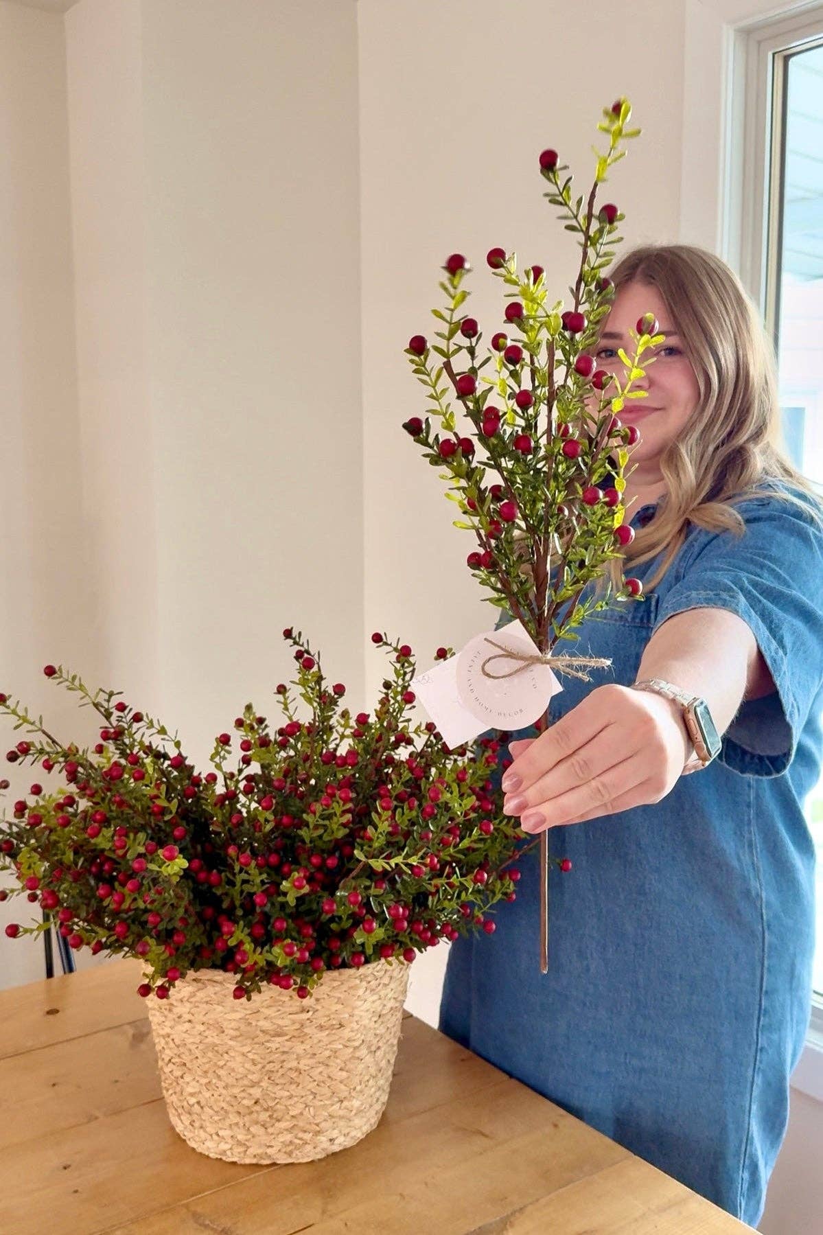 Cranberry Stems Bunch of 3 Stems