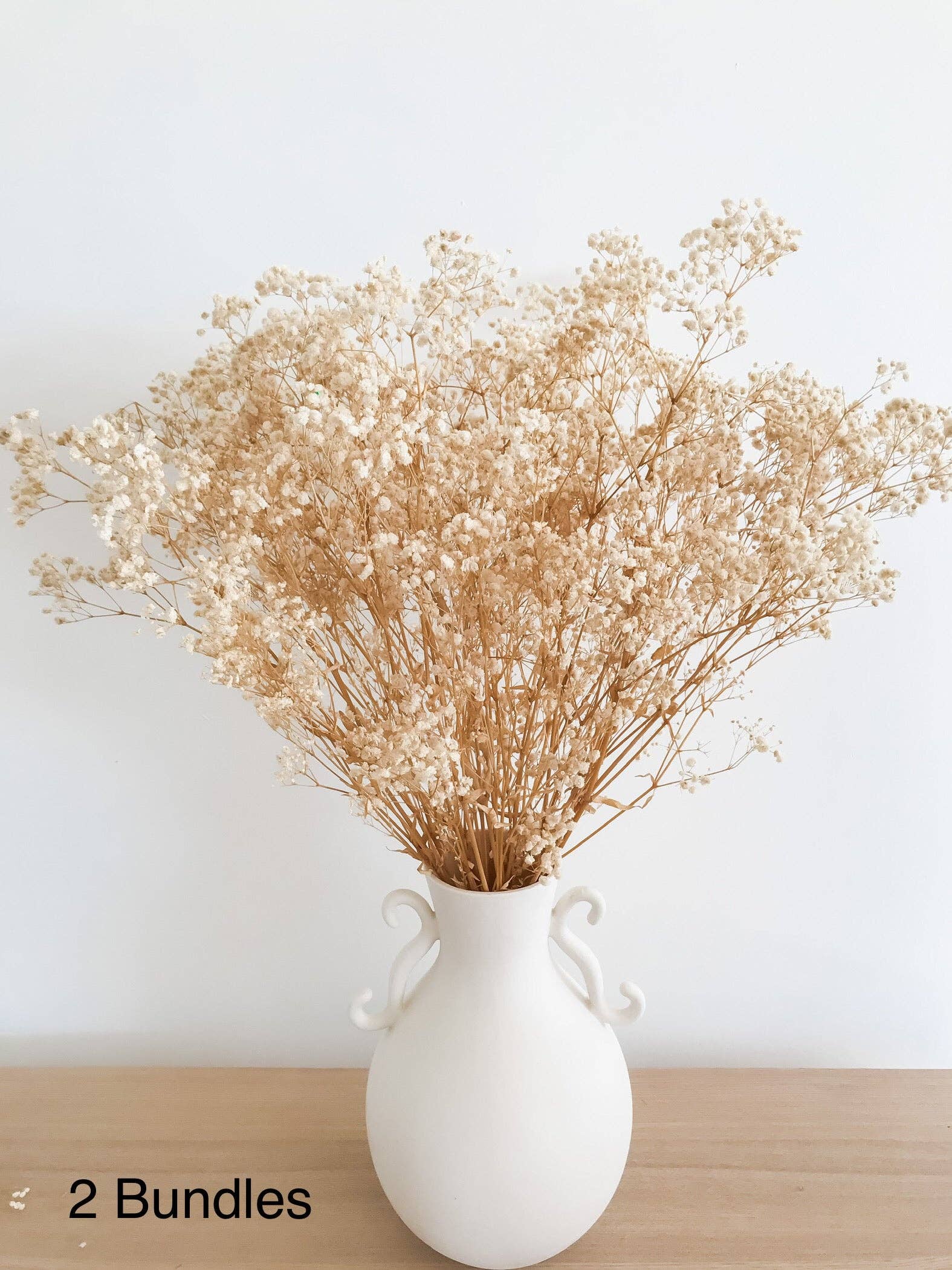 Preserved  Baby's Breath - Natural Gypsophila