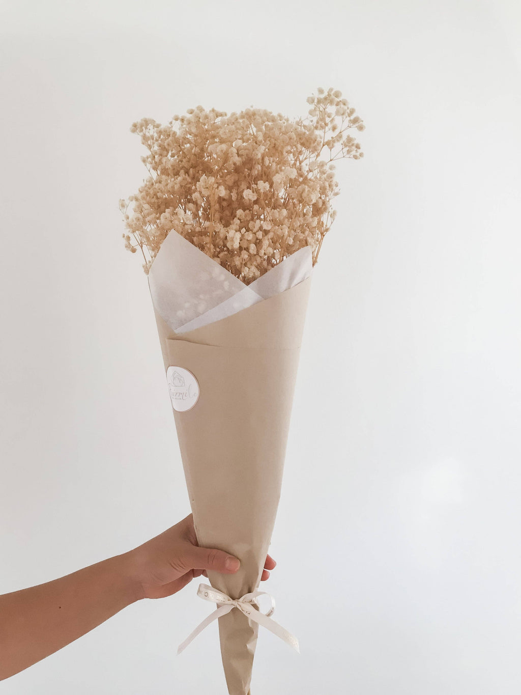Preserved  Baby's Breath - Natural Gypsophila