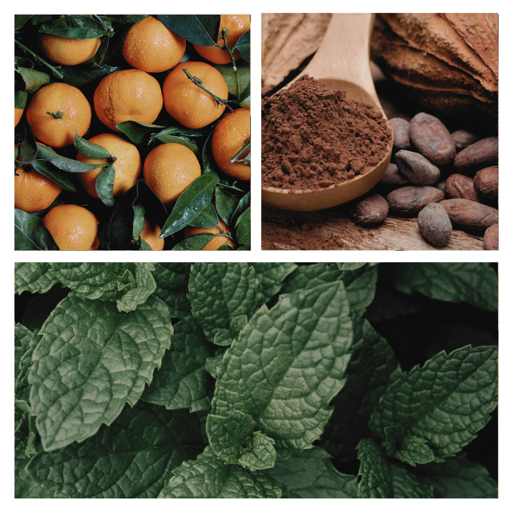 Be Festive Simmer Pot Mix, Natural Peppermint Cocoa Spice Aroma