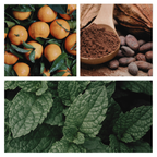 Be Festive Simmer Pot Mix, Natural Peppermint Cocoa Spice Aroma