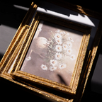 Daisy Bouquet | French Brass Gold Mould Framed Art