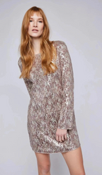 Zadie Sequin Mini Dress
