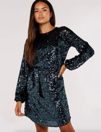 Sequin Puff Sleeve Tie Dress