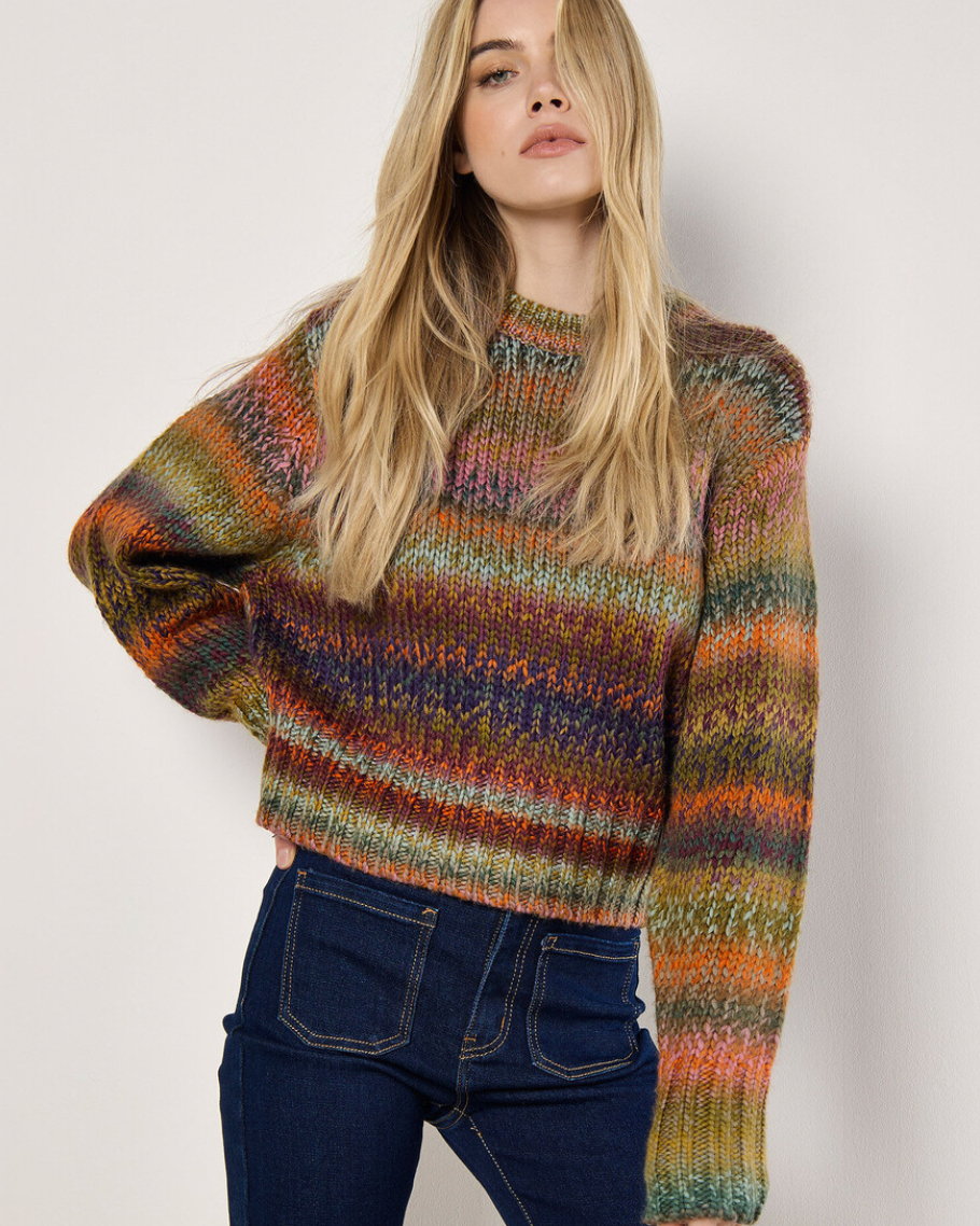 Chunky Knit Multi Color Sweater