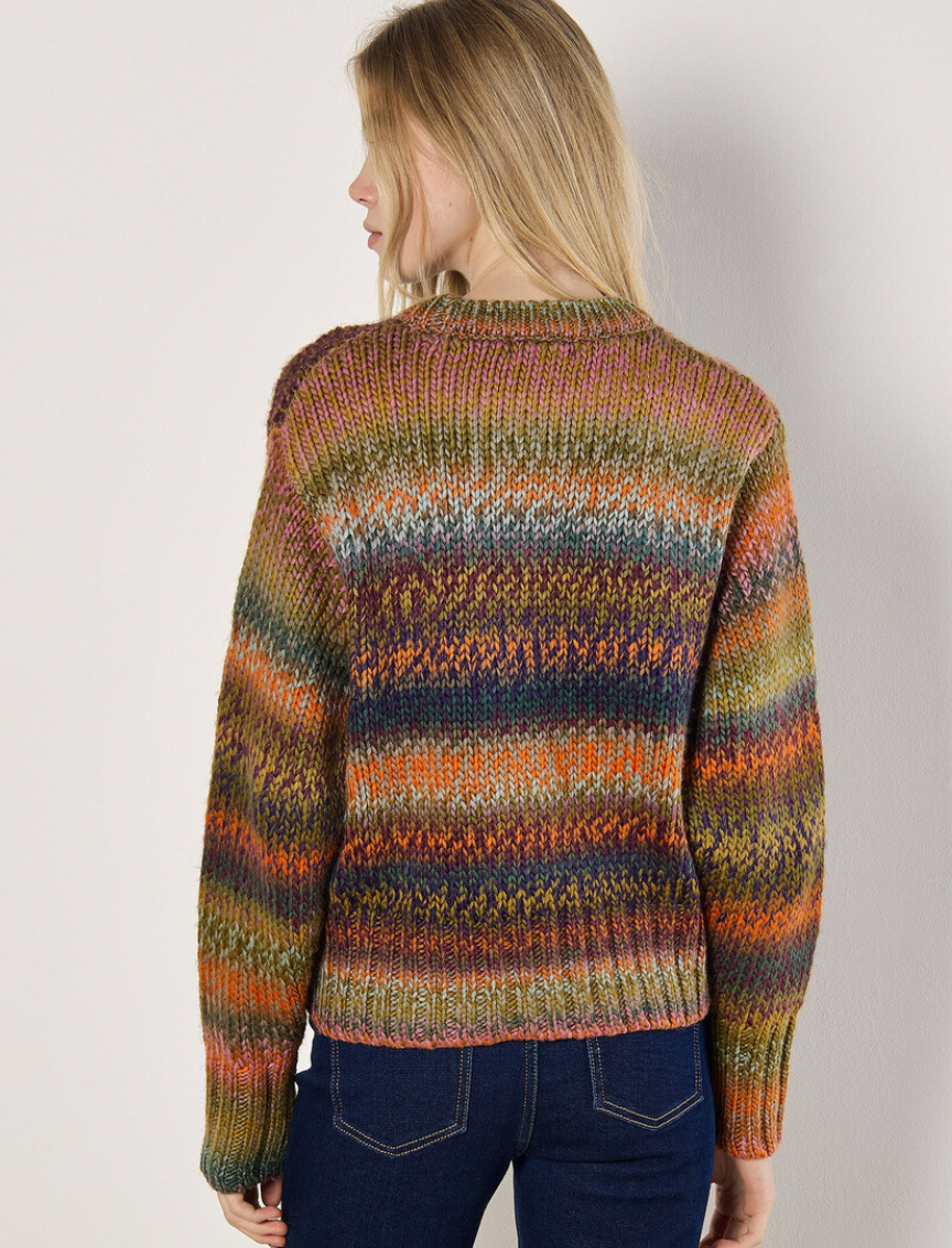 Chunky Knit Multi Color Sweater