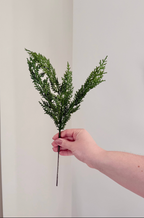 Cedar Stem Bundle of 4 Stems