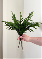 Cedar Stem Bundle of 4 Stems