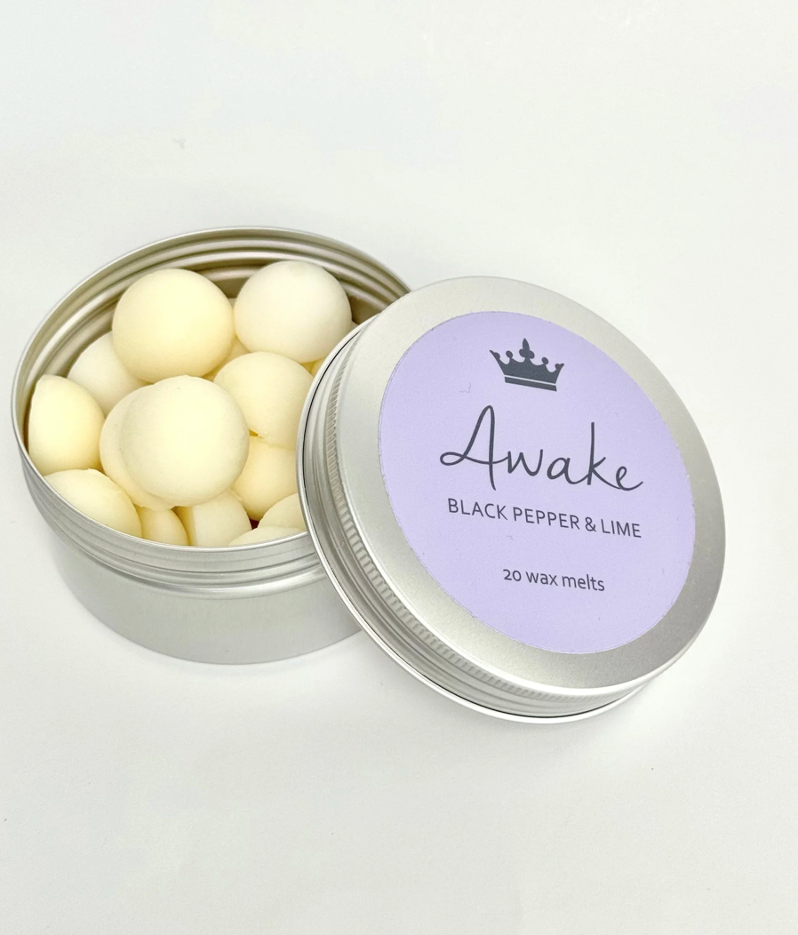 Wax Melts Tin of 20