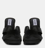 Steve Madden Value Women's Shoe