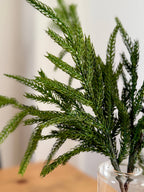 Norfolk Stems Bundle of 4