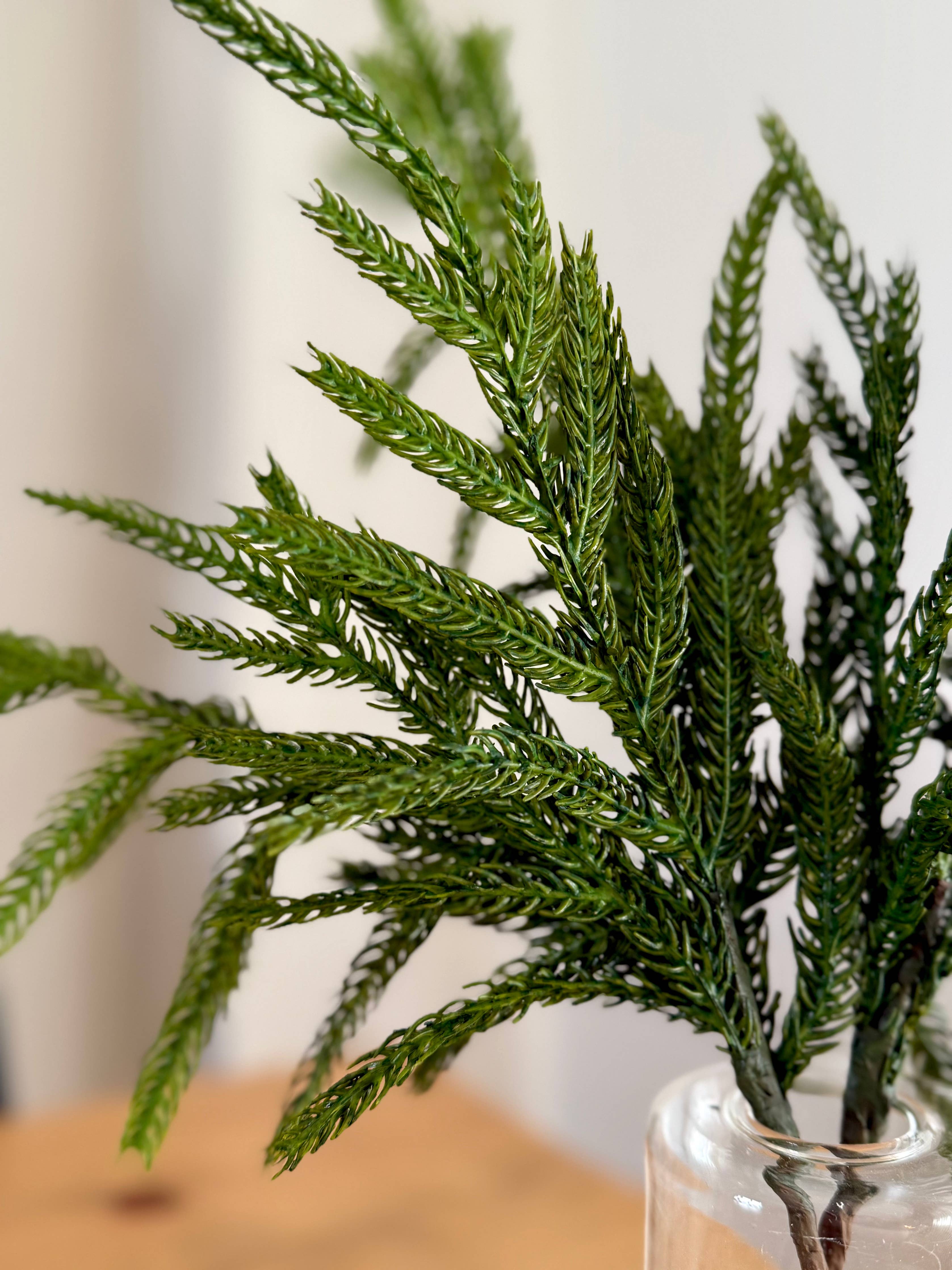 Norfolk Stems Bundle of 4