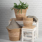 Baskets With Handles, ( Set of 3 ) (In Store Purchase Only)