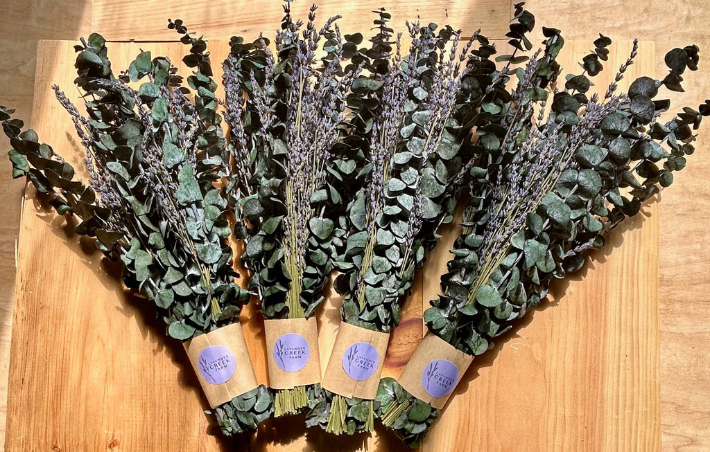 Dried Eucalyptus and Lavender Bundle