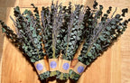Dried Eucalyptus and Lavender Bundle