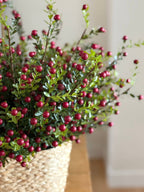 Cranberry Stems Bunch of 3 Stems