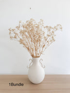 Preserved  Baby's Breath - Natural Gypsophila