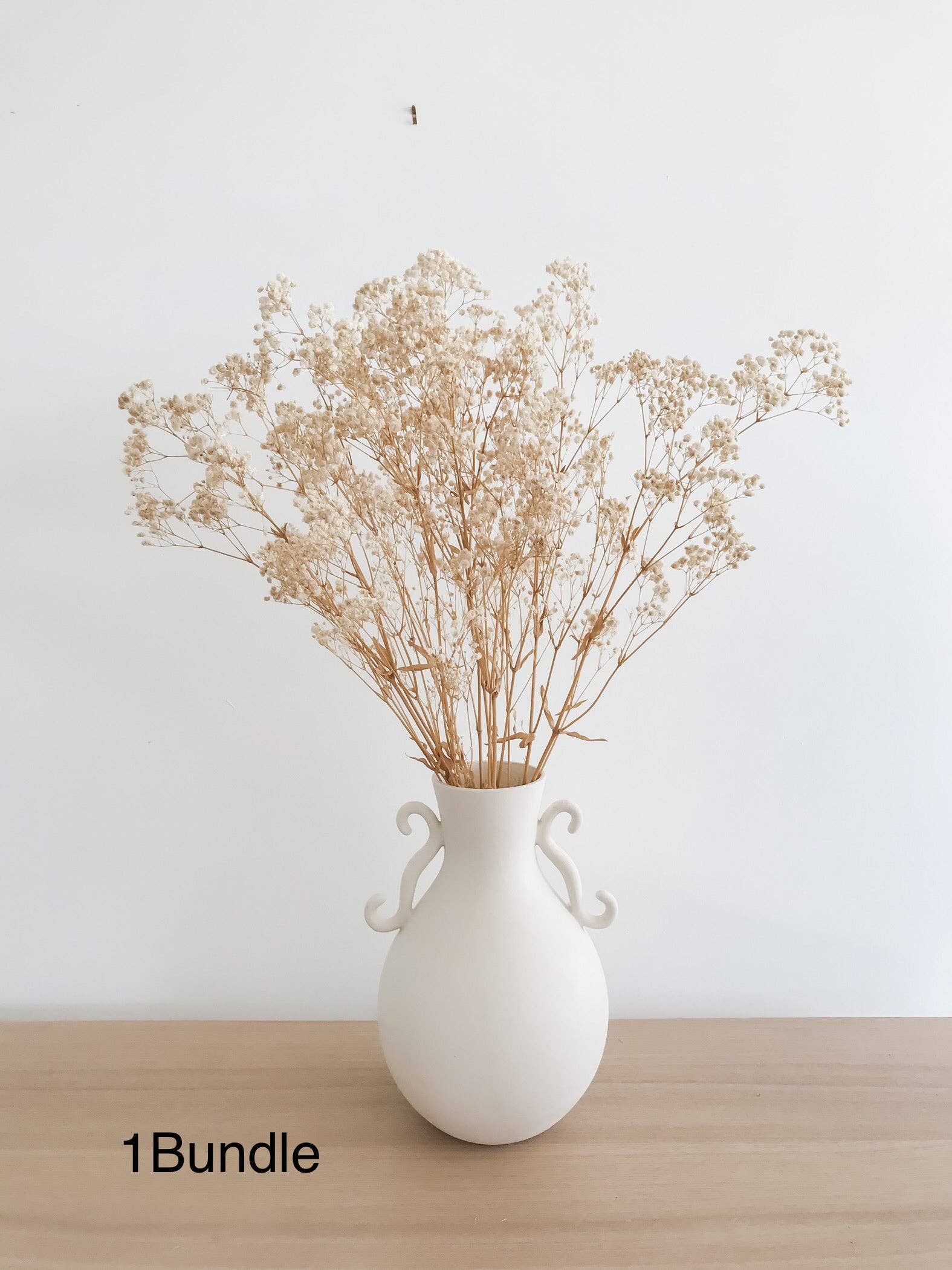 Preserved  Baby's Breath - Natural Gypsophila