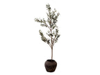 Atelier Black Vintage Olive Tree Pot Vase