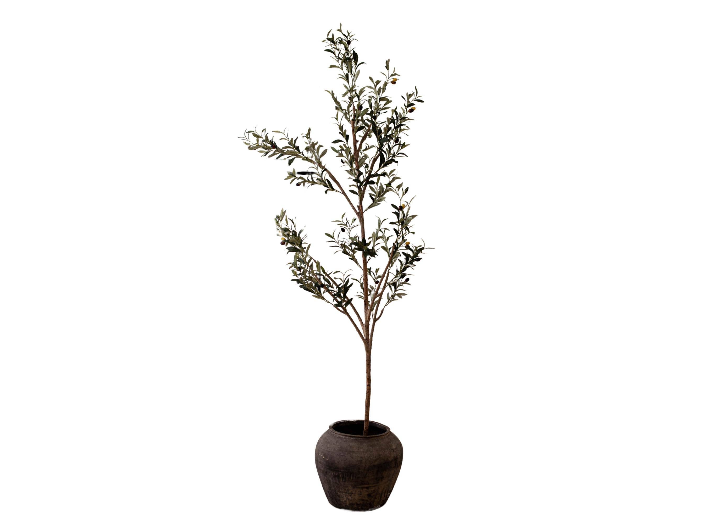 Atelier Black Vintage Olive Tree Pot Vase