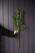 White Plum Berry Norfolk Cypress Real Touch Stems 22"