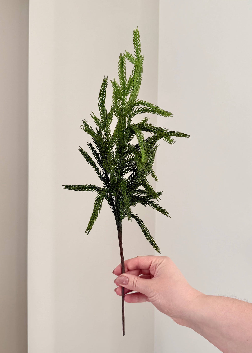 Norfolk Stems Bundle of 4