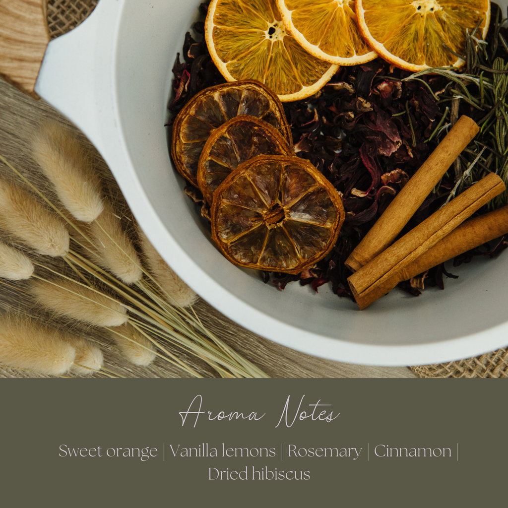 Be Ember Simmer Pot Mix, Natural Autumn Citrus Spice Aroma – Jar Edition