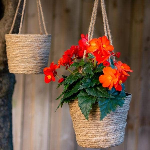Rush Basket With Long Rope, Set 2 (In Store Purchase Only)